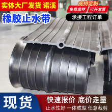 中埋式橡胶止水带建筑施工水利工程遇水膨胀可卸式背贴钢边止水带