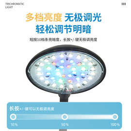 鱼缸照明夹灯 厂家直销 小夹灯可变色可调光造景增色增艳小鱼缸灯