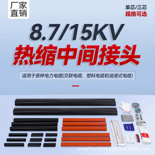 10kv��s��|���g���^JSY-10/3.1�߉����տs�^���׹���о��о����