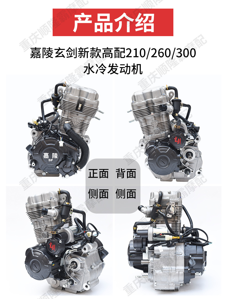 Jialing Brand Three-Wheel Motorcycle Engine Xuanjian 210 260 300 Water-Cooled Engine Brand New Original Engine