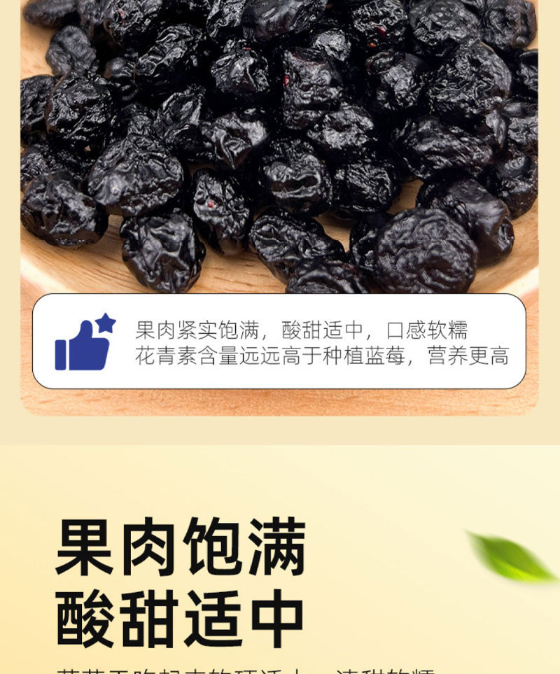 Dried Blueberries Candied Fruit Snack 100g Jar Baking and Trail Mix Ready quality and texture