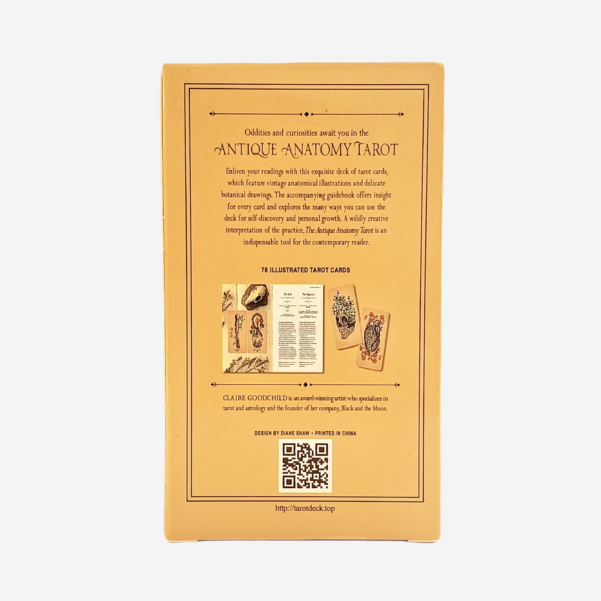 The Antique Anatomy Tarot Deck - Classic Divination Party Game_voghion.com