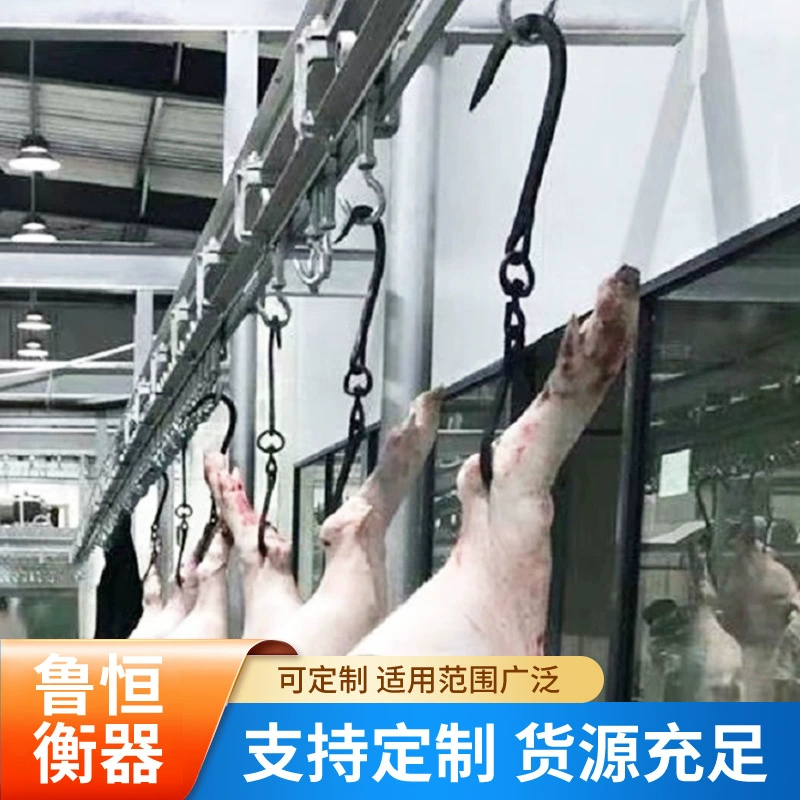 Электронные весы серии SCS для одноканальных и двухканальных путей, для железнодорожных, промышленных и горнодобывающих предприятий, специализирующиеся на динамических и статических путевых весах, производитель из Шаньдуна.