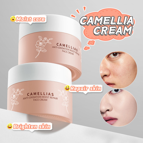 All English BIOAOUA Camellia Antioxidant Hydrating Repair Cream, Moisturizing Skin Care Cream, Cross-border Trade Wholesale
