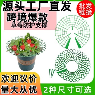 Cross-Border Dropshipping Strawberry Stand Strawberry Planting Three-Dimensional Rack Tray Fruit Support Frame Garden Anti-Rot Green Plant Support