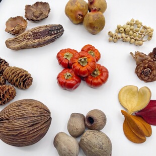 ֲ���������������~ ��Ȼ�M��ԭ���� �����~�ɻ�������r�@�o��