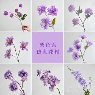 ��ɫ�� ��c·�ň������þƵ��b����� �Ĕz���߼ٻ�