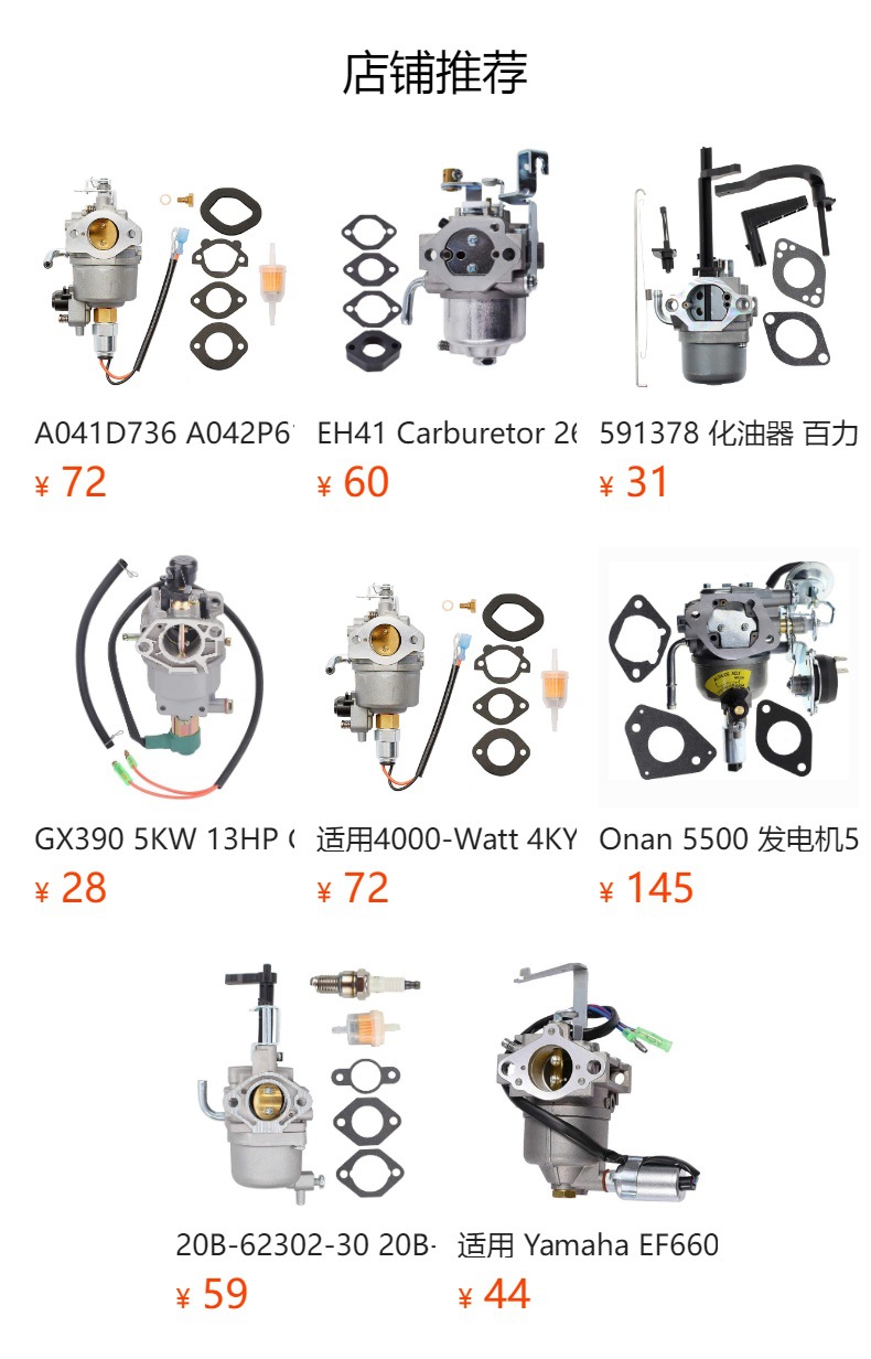 825656 Carburetor 825569 825377 430447 433447 580447 589447