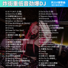 2P80炸街车载cd碟片2024新dj重低音劲爆歌舞曲无损高音质大容量光