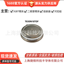 ��բ�� ABB  5STP10D1601 ԭ������ ������� 5STP07D1800