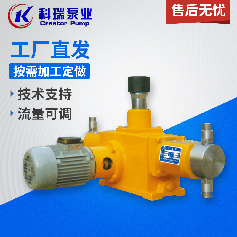 批发2J-X型柱塞计量泵 加药计量泵 大流量计量泵