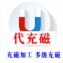 充磁多极强磁电机钕铁硼