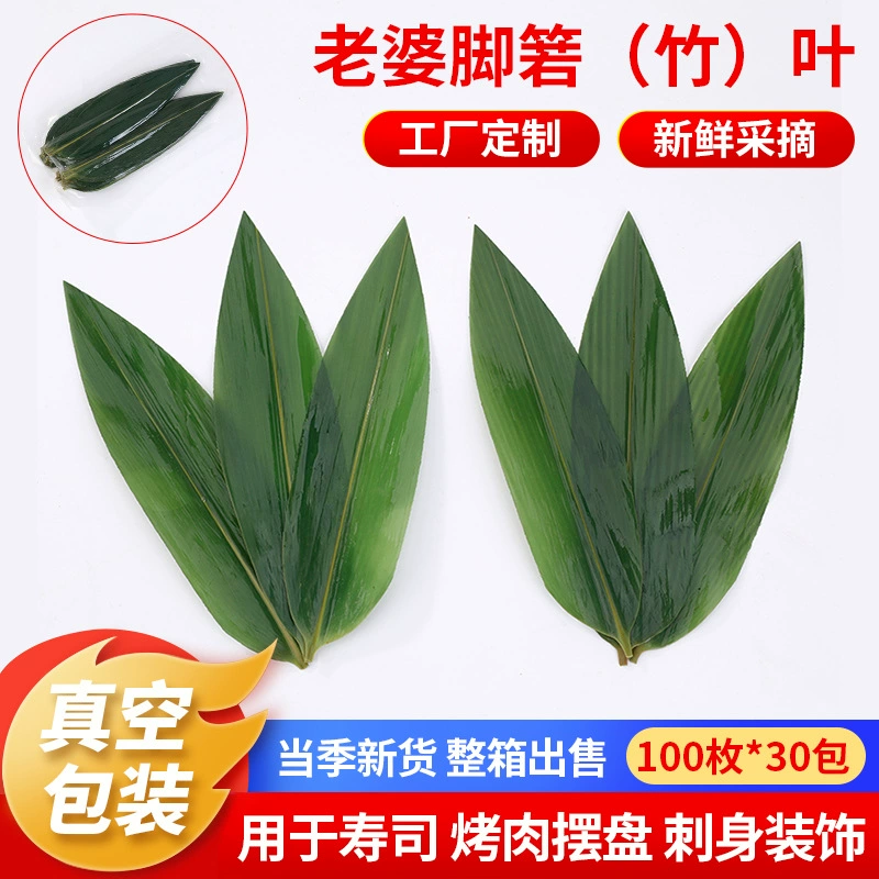 Отделка для ног жены Ruizhu (бамбук) Листья Тарелка для японского ресторана Декоративные листья 100 свежих Zongye в вакуумной упаковке