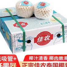 泰国椰青9个装原箱一整箱椰子去皮椰子新鲜水果工厂包邮一件 批发