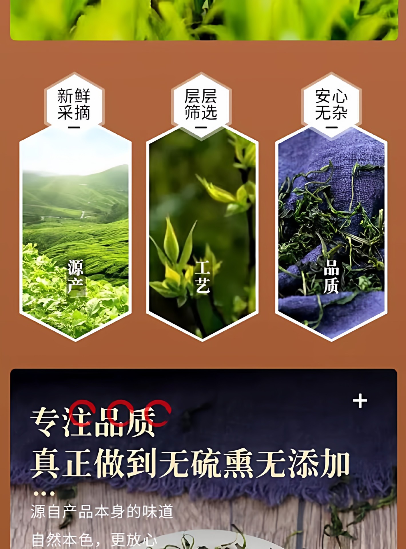 Fermented Small Leaf Kuding Tea Tender Buds Guizhou Yuqing Bitter Tea Loose Leaf 175g key features