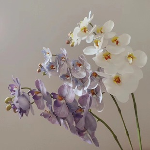 9�^�ָк����m3D��ӡ���滨�b�����ܛ�b�����쾰�Ӱ��g