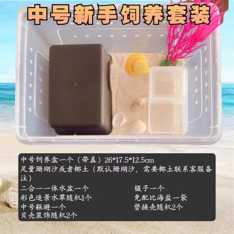 寄居蟹专用饲养爬宠饲养盒昆虫观察盒新手套装饲养缸寄居蟹套餐|undefined