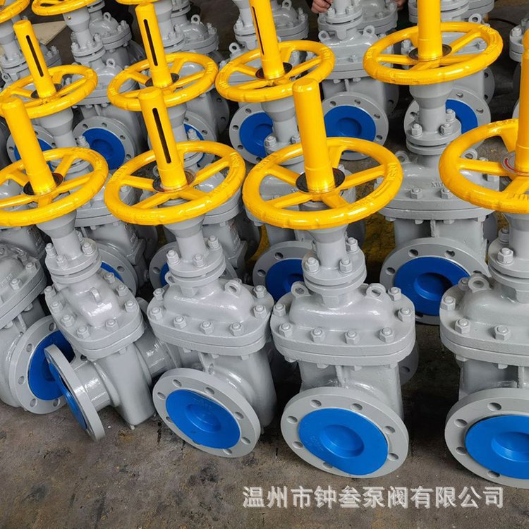 Z43WF-10P DN150手动平板闸阀 无导流平板闸阀 不锈钢平板闸阀