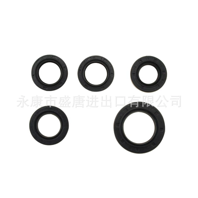 Oil seal oil seal kit