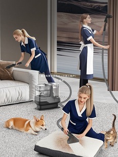 German Klinsmann Fabric Machine High Temperature Steam Hot Water Cleaning Carpet Sofa Household Multi-Function Fruit