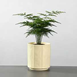 厂家直销简约花盆陶瓷大号带托盘创意个性家用绿萝吊兰多肉大花盆