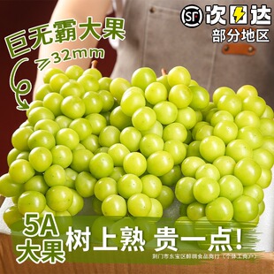 ꖹ�õ��5A��ꖹ�õ���������r����ˮ�������ӬFժ�o������������