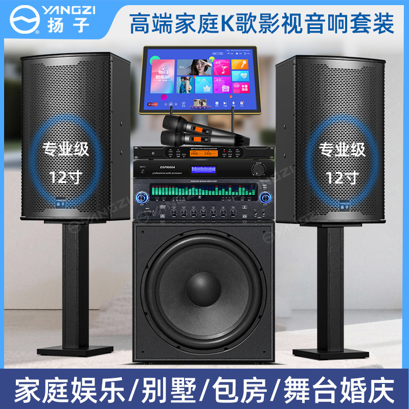 专业音响家庭KTV舞台演出清吧会议音箱带功放蓝牙话筒K歌高音质|undefined