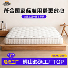 ����ƽ��ͬ��Ƶ��Ӳ���|���Ҍ��Æ��˿�˯��ܛ����20cm���ɴ��|