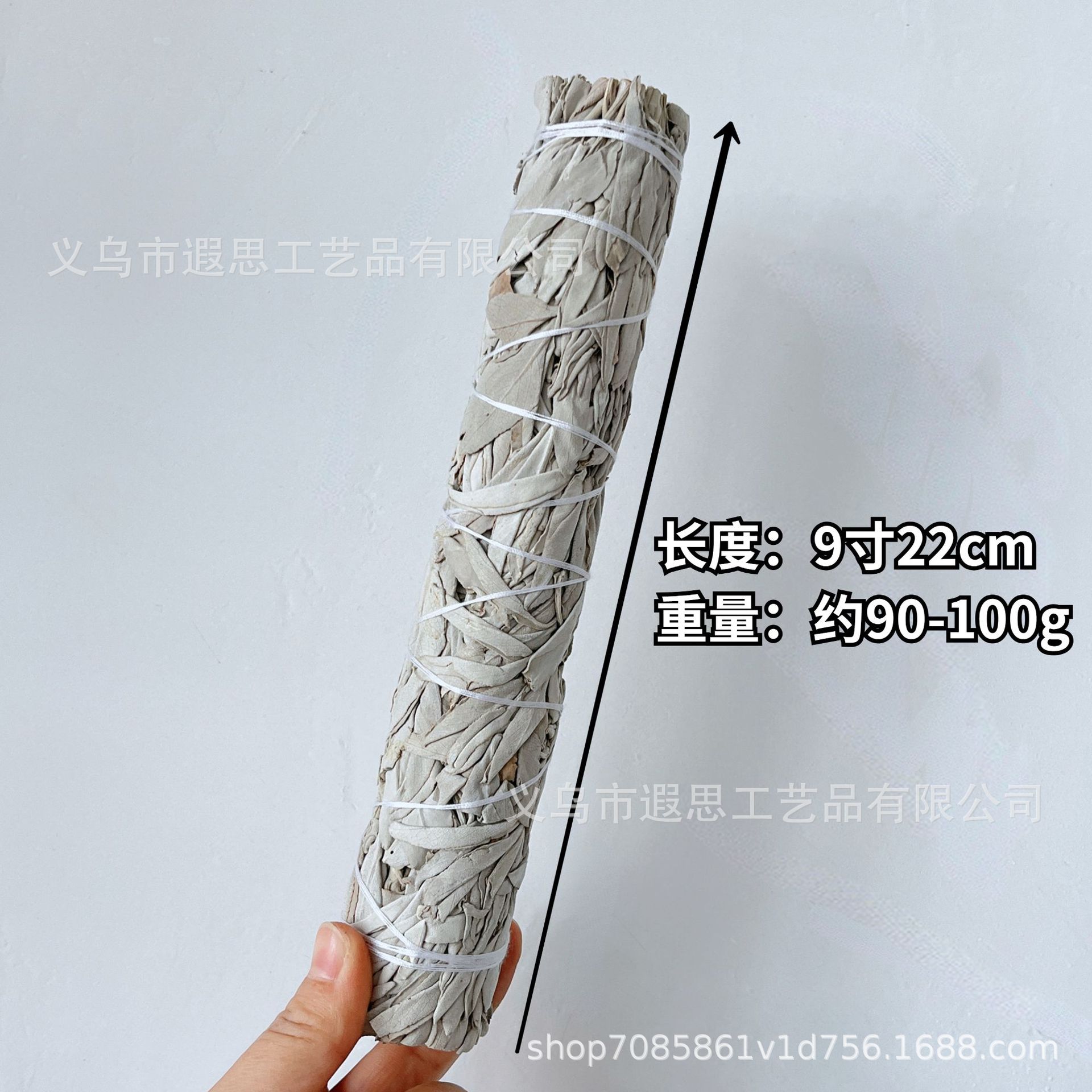 ホワイトラットグラス（22cm、約90～100g）