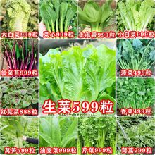 16�N�߲˷N�Ӵ�ȫ�߲���M�ϻ��N��һ���ļ��ɷN����у�����