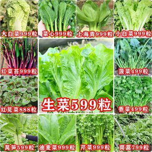 16�N�߲˷N�Ӵ�ȫ�߲���M�ϻ��N��һ���ļ��ɷN����у�����