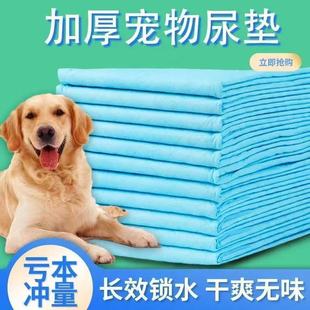 Pet Special Price Diapers, Dog Deodorizing Teddy Rabbit Diaper Pads, Slight Diaper Defects by the Pound