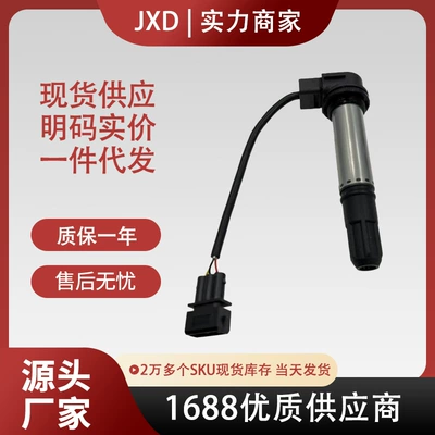 In-Stock Supply of Blue Dragon Bn300 Bn302 Yellow Dragon 600/Bj600/Bn600 Ignition Coil 96200P30 (Alovlanma bobini (Babinalar))