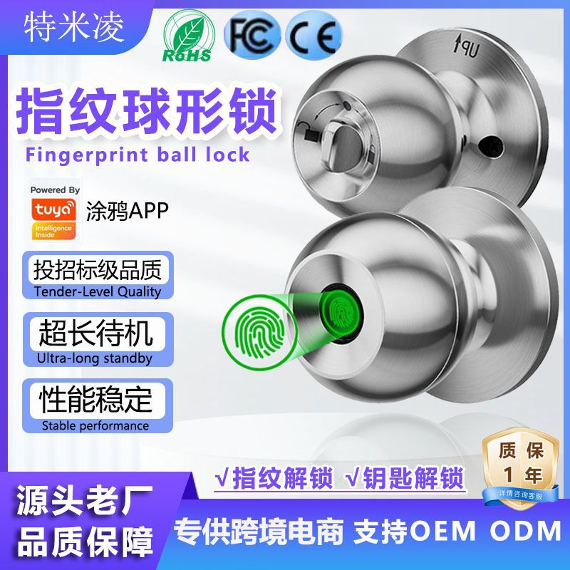 跨境智能球形指纹锁涂鸦蓝牙办公卧室房门木门钥匙机械锁房间门锁