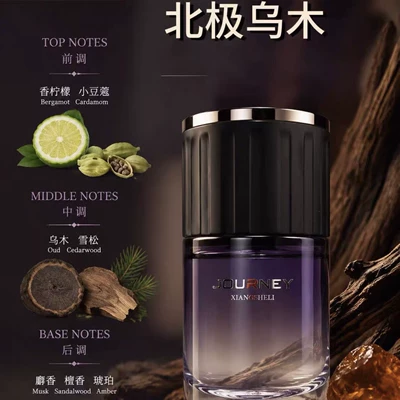 Car Perfume Aromatherapy Car Perfume, Dual-Use for Home - arctic-ebony