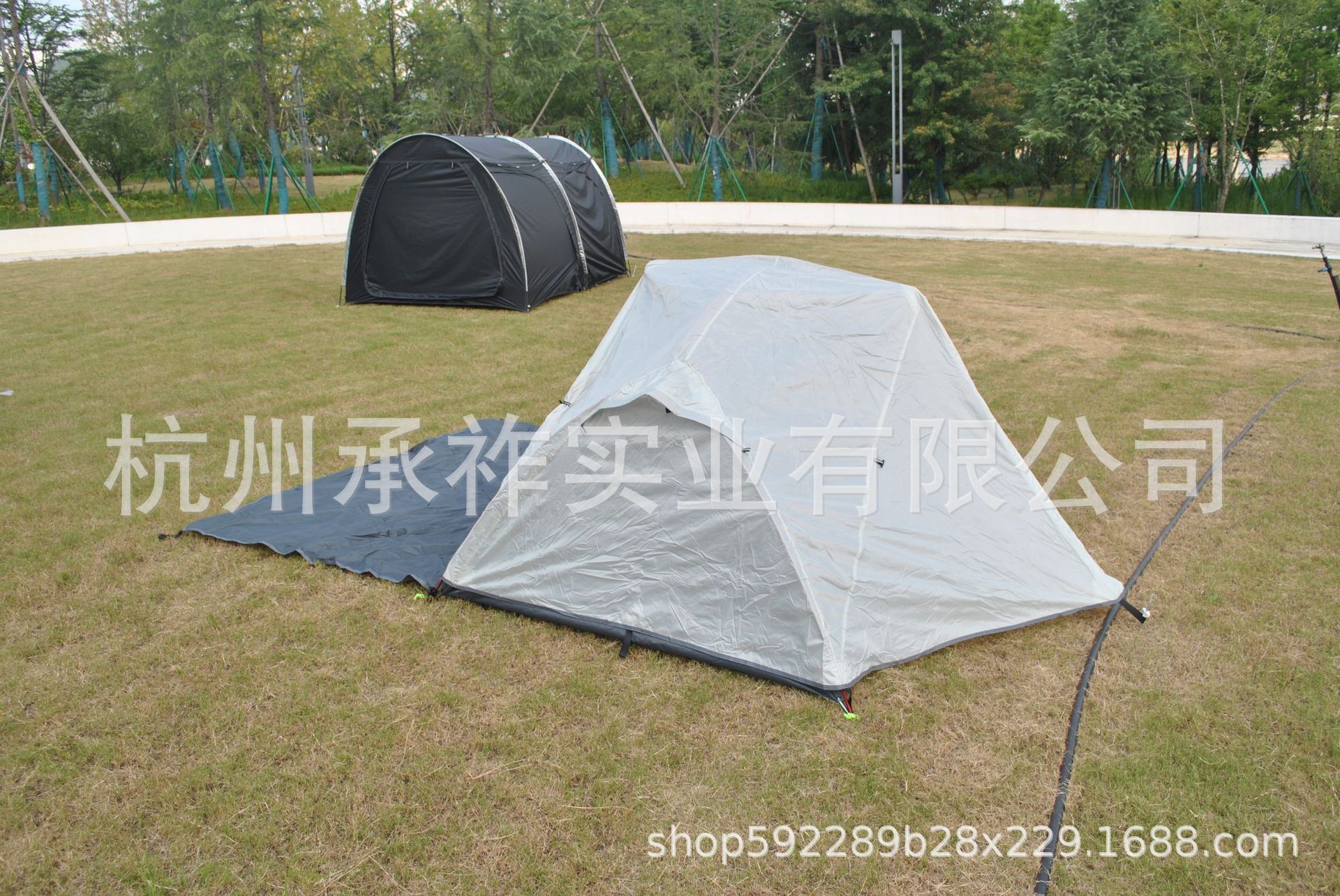 DSC_2770.JPG