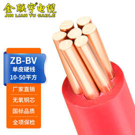 金联宇电缆国标BV10 16 25 35 50平方铜芯线单塑家用硬线阻燃电线