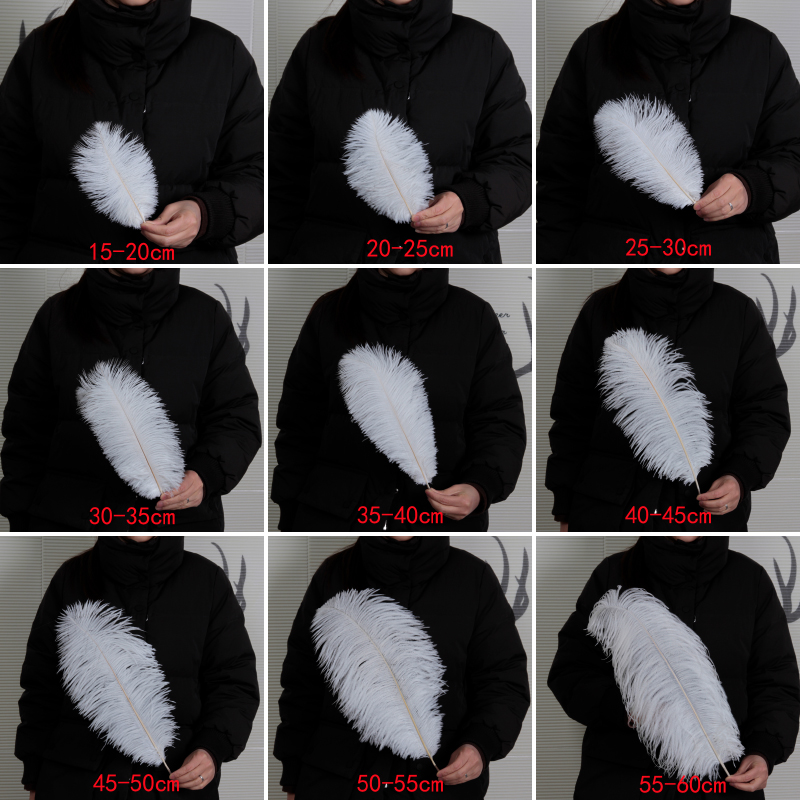 Plumas de avestruz bodas blancas de avestruz guía de plumas accesorios de fotos adornos rojo rosado en línea grandes plumas decoración