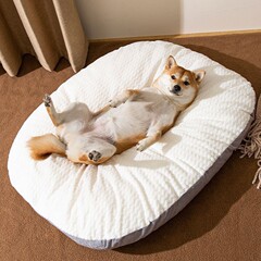 狗狗垫子睡觉狗窝四季猫咪通用拆洗床垫冬季保暖枕头宠物宠物用品