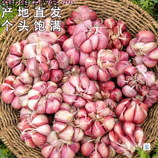 �r����Ƥ������ζ���r�����r������a��ֱ�l�����Ƥ���^�����^