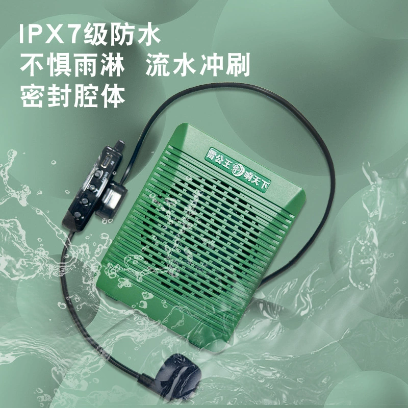 Громовой король учитель громкоговоритель портативный открытый маленький пчела Bluetooth-микрофон беспроводной воротник конференции