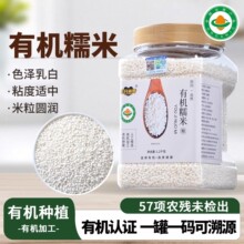 东北有机白糯米新米圆粘糯糙米包粽子甜酒磨糯米粉专用江米1.2kg