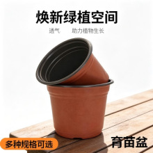 �pɫ����������Ӻ�һ���ԷNֲ���绨�����Nֲ����@�������ϻ�