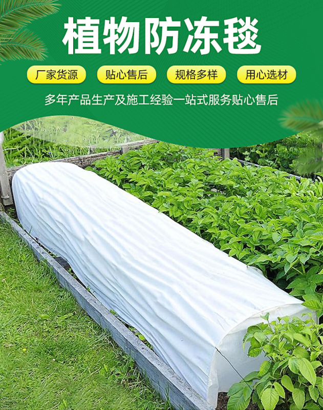 国境を越えた植物カバー布秋と冬の不織布不凍カバーブランケット抗紫外線野菜と果物の増粘|undefined