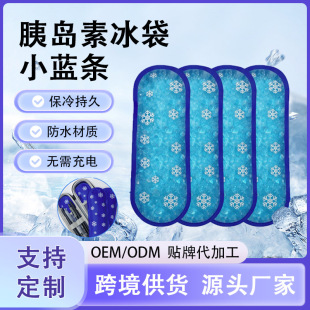 Customized Insulin Ice Bag Refrigeration Strip Ice Strip Condensation Agent Ice Pack Ice Strip Cold Storage Ice Strip Blue Ice Recyclable