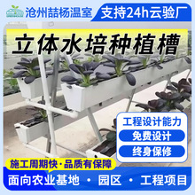 ���w����۹��������ݮ�Nֲ�� �o������pvc�Nֲ���߲�ˮ�������