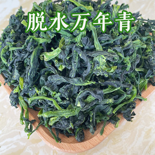 SֱÓˮ߲ Óˮf ߲˰ ϙ˸l