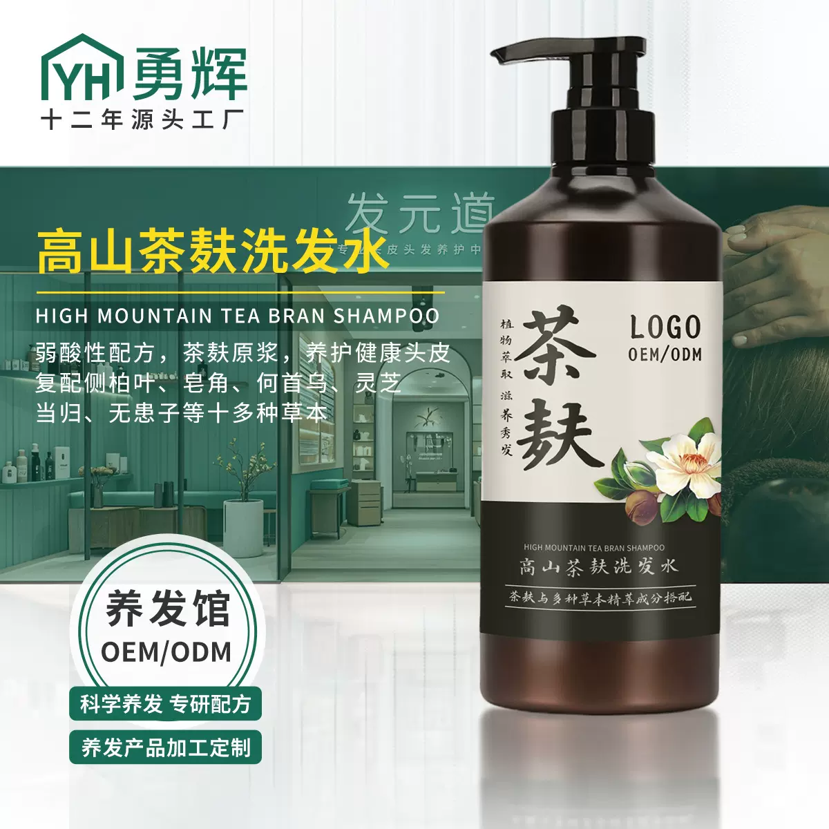 OEM茶麸洗发水控油去屑植物侧柏叶洗发露养发代加工防断草本配方