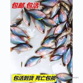 创意礼品套装;节庆用品;棋牌/桌游