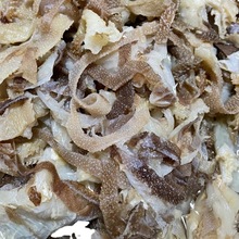 ë��߅�������~Ƭ5��ţ���~ëѪ����側���ʳ��ð�˴���������l